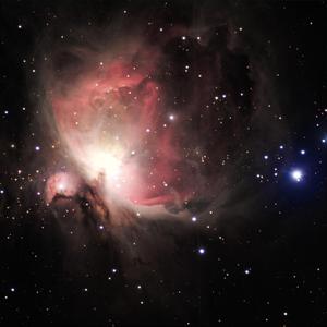 全裸美女被挤牛奶视频
